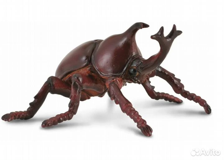 Жук-Носорог, М, 88337b