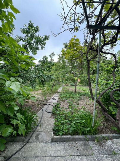 Участок 8 сот. (ИЖС)