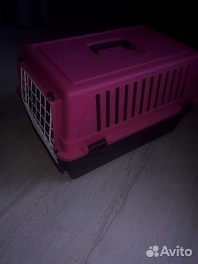 Переноска для кошек и собак прокат
