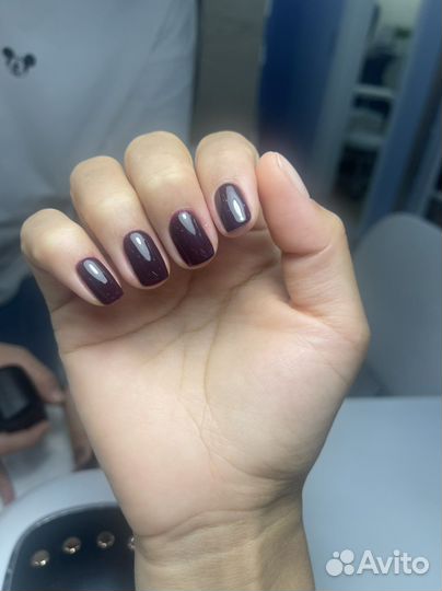 Маникюр педикюр у стажера 799