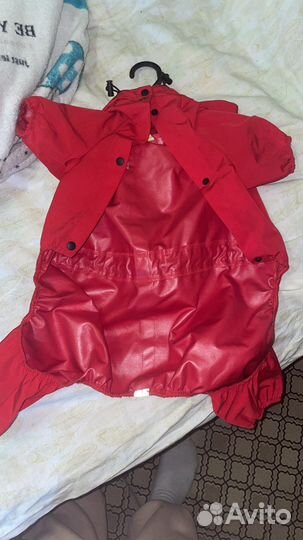 Дождевик для собаки средних пород