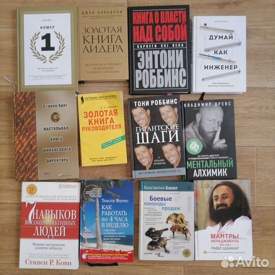 Книги бизнес менеджмент развитие