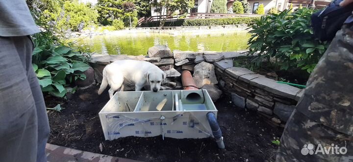 Очистка пруда