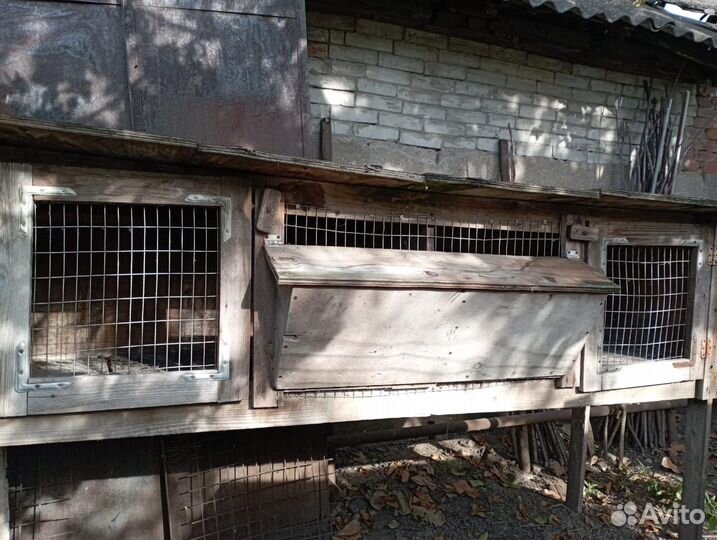 Клетки для разведения кроликов