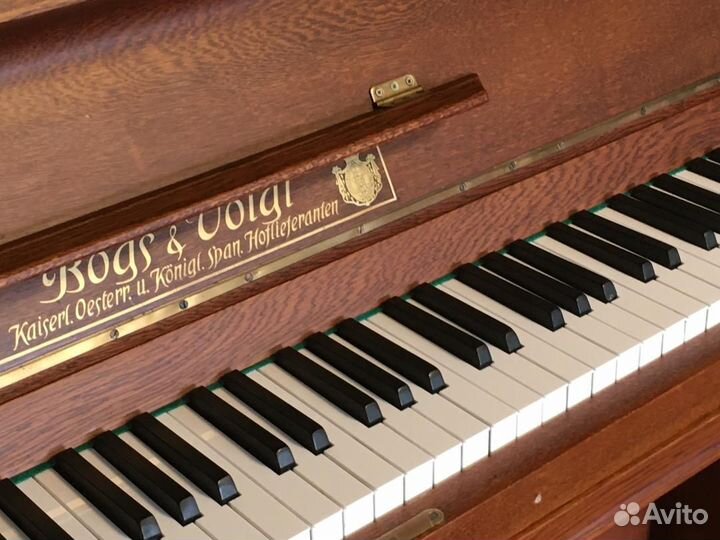 Пианино Bogs Uoigt
