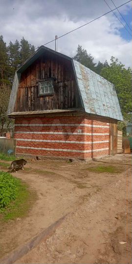 Участок 6,2 сот. (СНТ, ДНП)