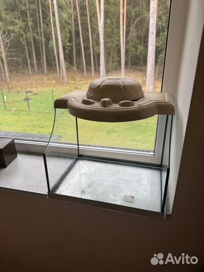 Черепашатник аква гесса