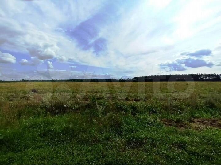 Участок 4,9 га (СНТ, ДНП)