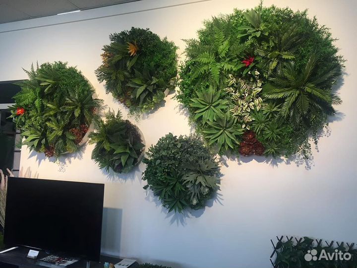 Фитокартина