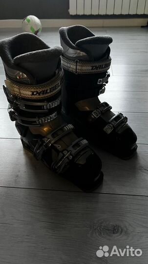 Горнолыжные ботинки dalbello