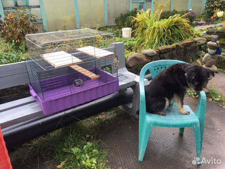 Клетка большая