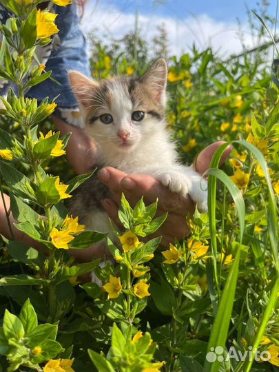 Ми ми малышка