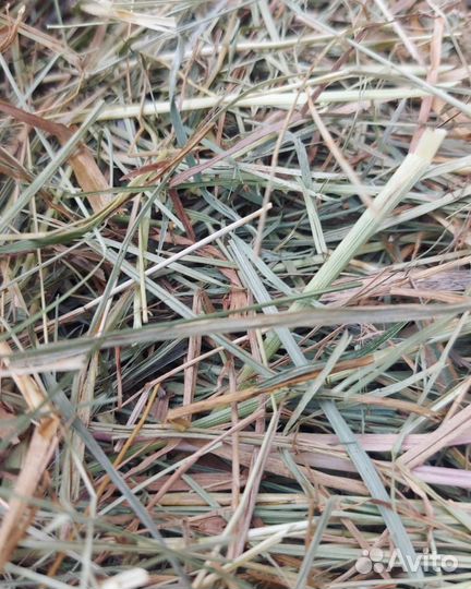 Сено солома в тюках