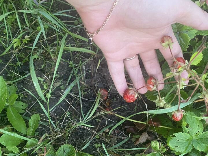 Дача 36 м² на участке 8 сот.