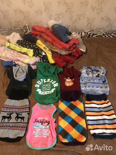 Одежда для средних и маленьких собаки