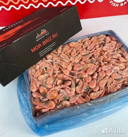 Креветка 250+