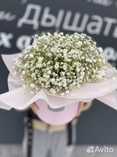 Гипсофила в коробке