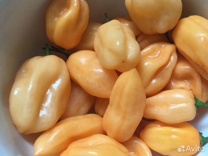 Семена острых перцев хабанеро, рокото итд