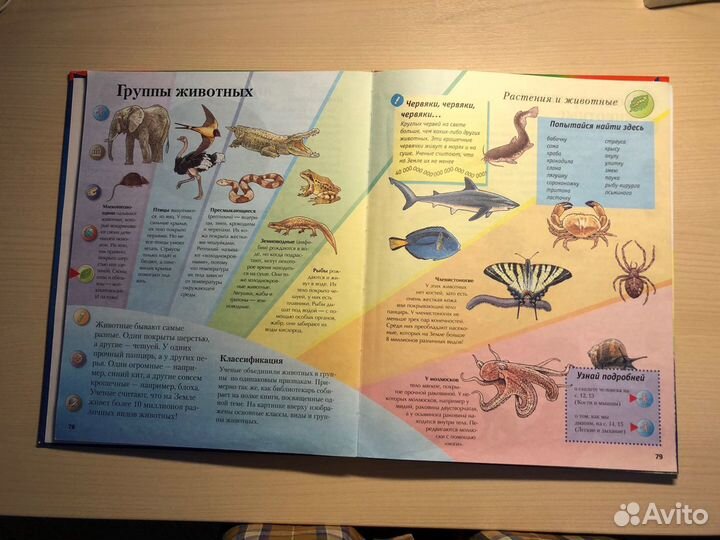 Школьные книги