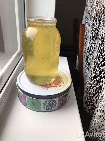 Мед белая акация 2024 года