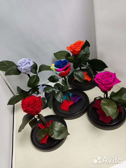 Роза в колбе оптом и в розницу