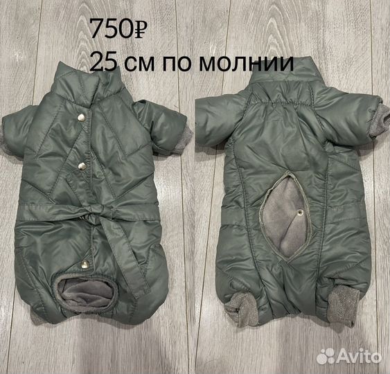 Комбинезон, костюм для маленькой собаки