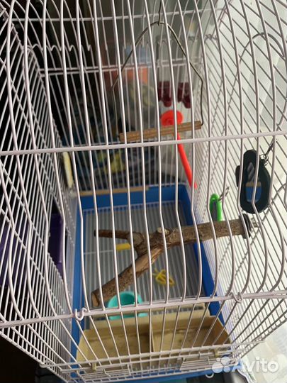 Клетка для птиц