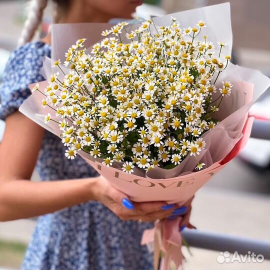 Букет из 11 ромашек