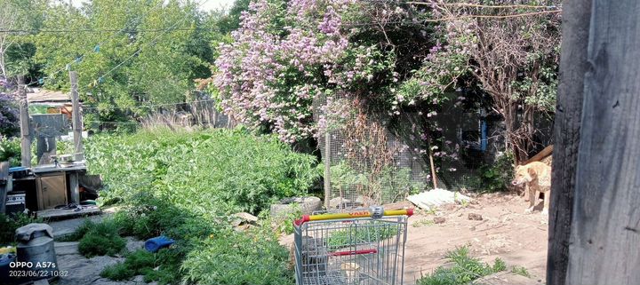 Участок 5 сот. (ИЖС)