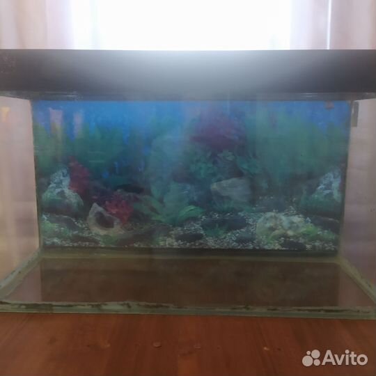 Аквариум