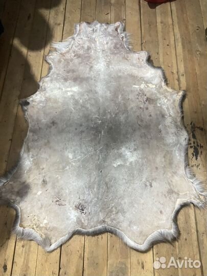 Шкура оленя