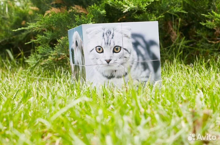 Фотокубик