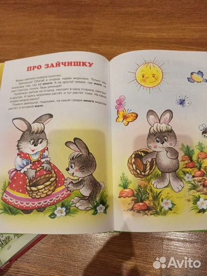 Книга Мечта о том самом зайке