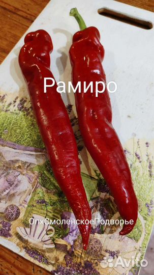 Семена сладкого перца