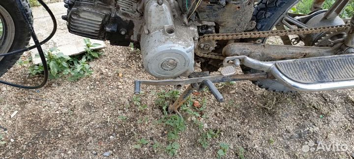 Продам альфу