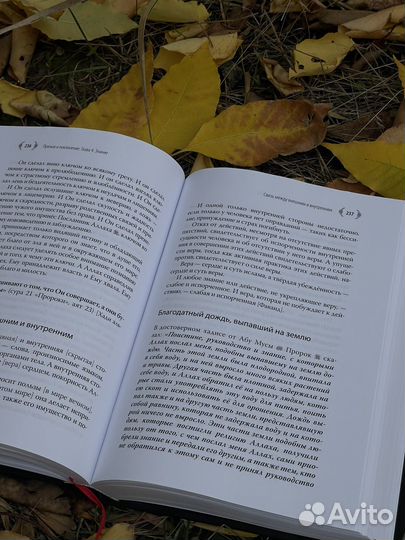 Ибн Каййим аль-Джаузийя. Избранное 2 том