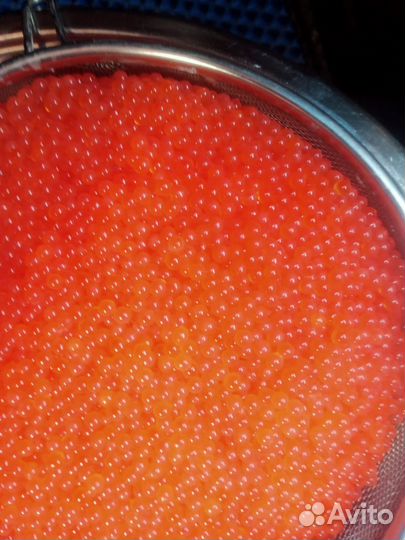 Икра дикой сёмги