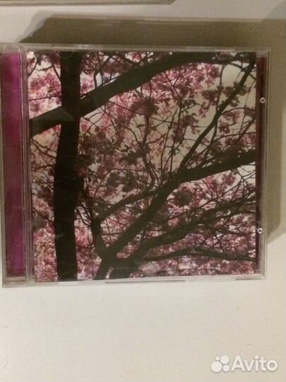 Cd компакт диски музыка рок панк