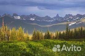 Туры в Ергаки