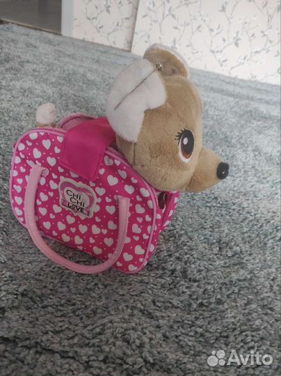 Собака chi chi love