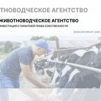 Животноводческое агентство в городе, Вена