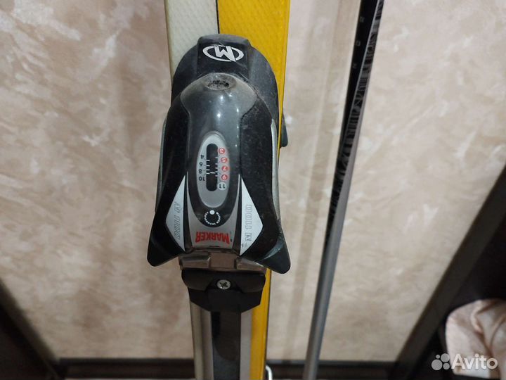 Горные лыжи