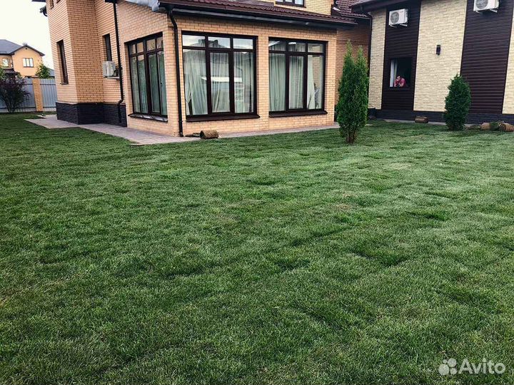 Рулонный газон, укладка, продажа