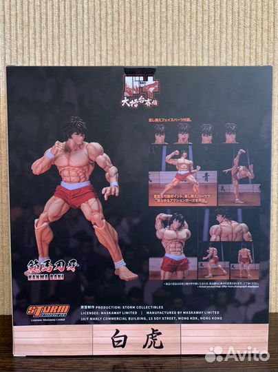 Baki Hanma - Baki the Grappler. Storm collectibles