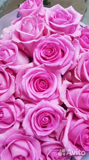 Свежесрезанные цветы