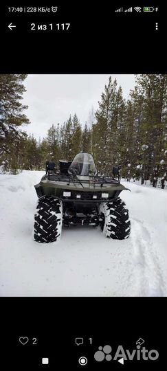 Сокол