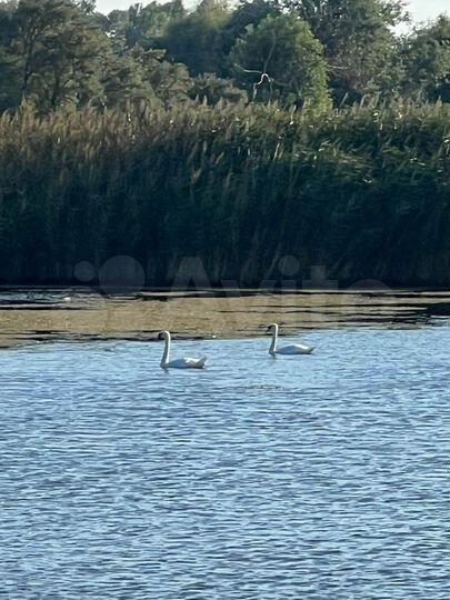 Участок 13 га (СНТ, ДНП)