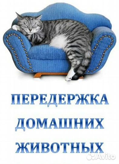 Зоогостиница, передержка домашних животных