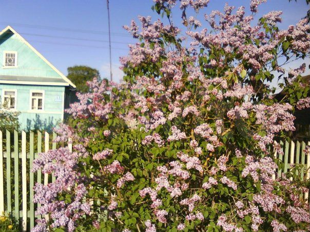 Дом 42,5 м² на участке 17 сот.