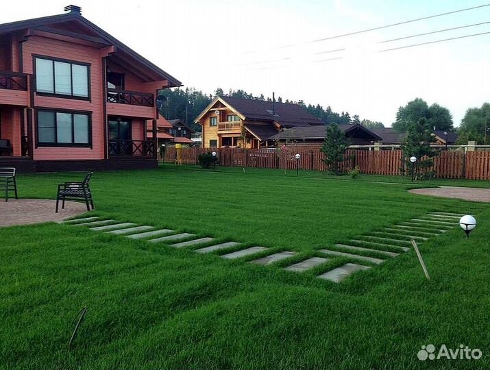 Рулонный газон